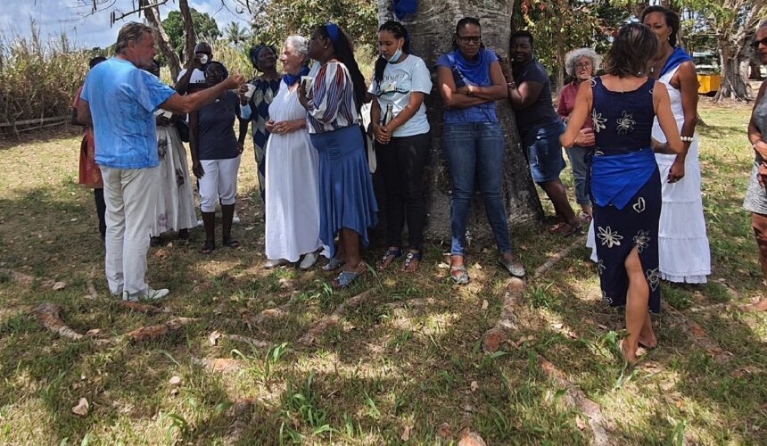Le mouvement citoyen des Fourmis bleues Guadeloupe s'est officiellement lancé dimanche 7 mars au domaine de Birmingham à Baie-Mahault, avec pour mission la pacification des relations sociétales.