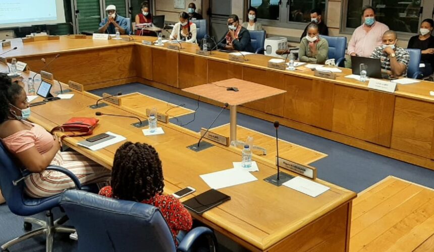 Reprise du plan local d’urbanisme en conseil municipal le 12 janvier 2021 au Gosier.