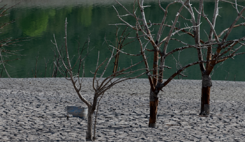 Rivières à sec, chaleur estivale record, incendies: comment le changement climatique a frappé l’Europe en 2022