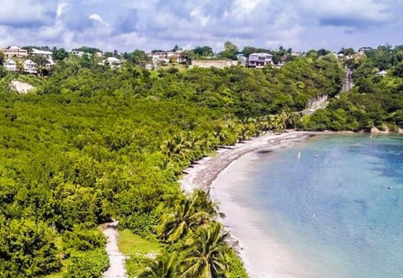 Le Gosier, vue aérienne de la plage des salines, mangrove à l'arrière-plan