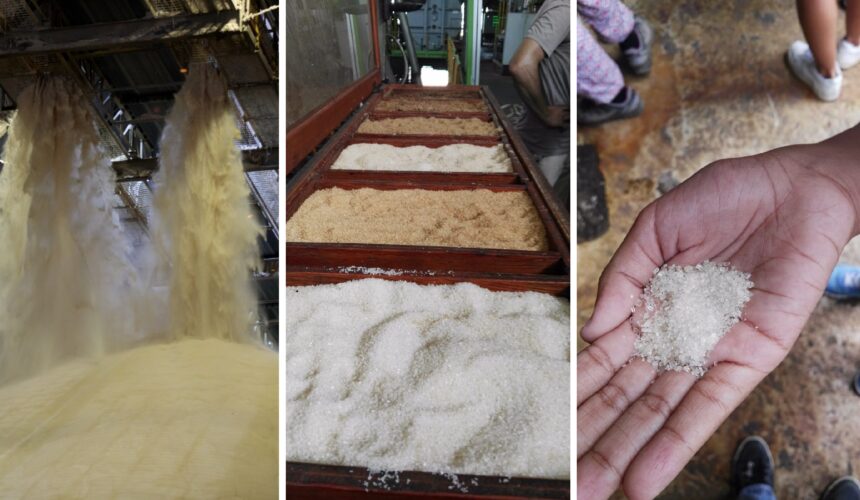 Photo d'illustration usine sucre de canne