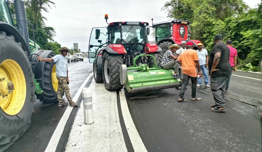 La grogne des planteurs de canne atteint son paroxysme avec le blocage jeudi 25 et vendredi 26 avril 2024 de toutes les entrées de la zone industrielle de Jarry à Baie-Mahault. Photo : Le Courrier de Guadeloupe
