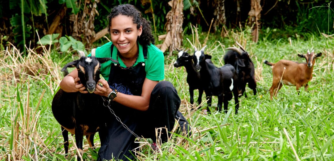 À 23 ans, Nahuel Tournebize, élève ingénieure agronome sous statut d’étudiant entrepreneur, aspire à créer Capr’îles, le premier fromage made in Guadeloupe, grâce au cabri créole.