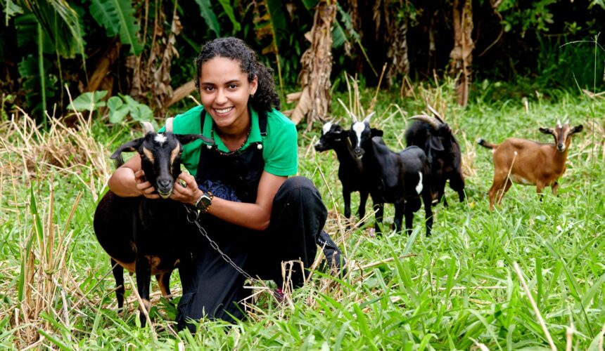 À 23 ans, Nahuel Tournebize, élève ingénieure agronome sous statut d’étudiant entrepreneur, aspire à créer Capr’îles, le premier fromage made in Guadeloupe, grâce au cabri créole.