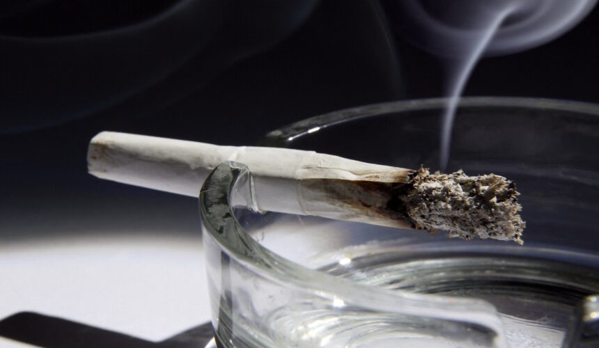 Photo d'illustration usage substance psychoactive cannabis (Photo VSC / Science Photo Library via AFP)