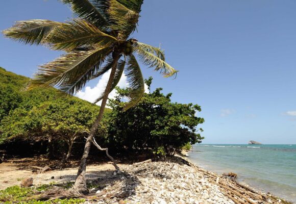 Les ilets de kahouanne Deshaies, Guadeloupe. Photo : Witt / Cœurs de nature / Sipa