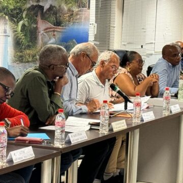 Conseil communautaire de la communauté d’agglomération Grand sud Caraïbe. Photo d’illustration. 2024