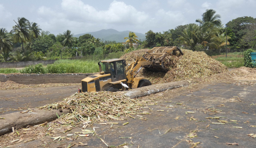 Manutention de la canne-à-sucre livrée à l'usine sucrerie de Gardel, Le Moule.