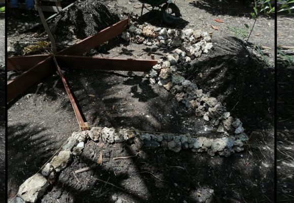 Zones de culture réalisées en juillet 2021 sur le Jardin des valeurs, réalisées par des jardiniers en remobilisation vers l'emploi au sein de l’association Bwa kapab à Petit-Canal. Photo : Bwa kapab