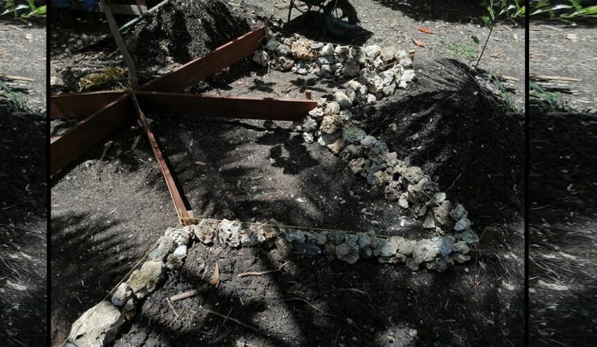 Zones de culture réalisées en juillet 2021 sur le Jardin des valeurs, réalisées par des jardiniers en remobilisation vers l'emploi au sein de l’association Bwa kapab à Petit-Canal. Photo : Bwa kapab