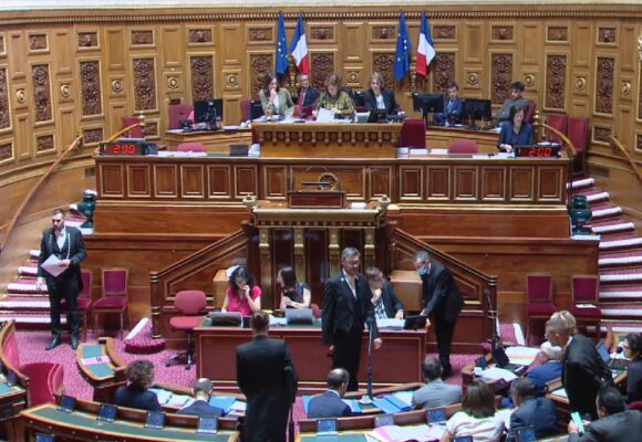 Séance publique du Sénat, jeudi 12 juin, d’adoption de la proposition de loi qui reconnait la responsabilité de l’État dans le scandale du chlordécone. Photo : Capture écran Sénat