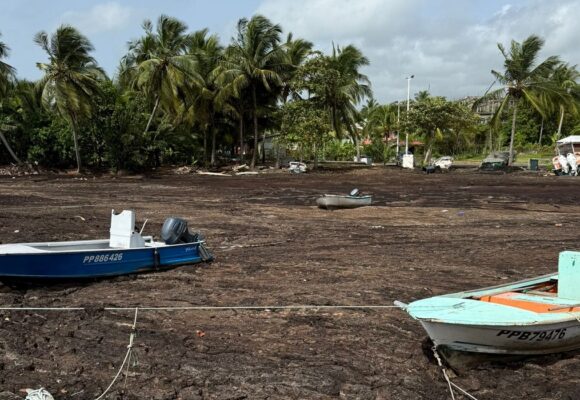 Quai du port de pêche envahi par les sargasses et bateaux immobilisés à Sainte-Marie, Capesterre-Belle-Eau, juillet 2025