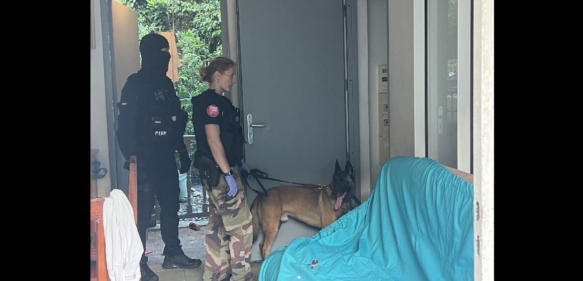 Opération de la brigade de répression des armes et de lutte contre le crime organisé (Braco) : le maître-chien de la brigade cynophile participe aux perquisitions chez les suspects de vols à main armée. Photo : Gendarmerie de Guadeloupe