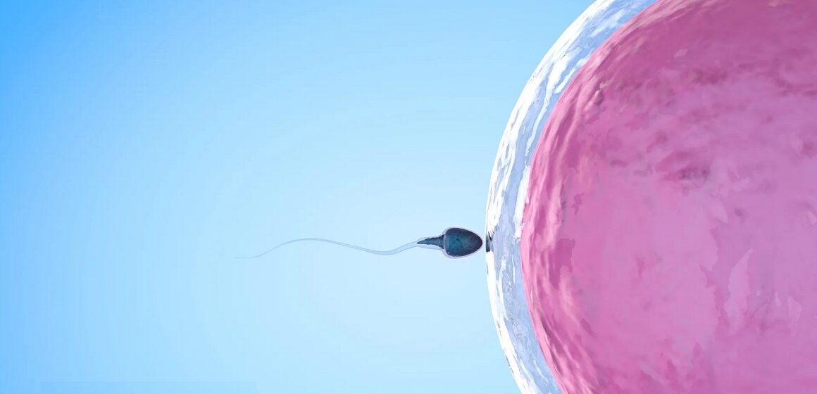 Photo d'illustration natalité