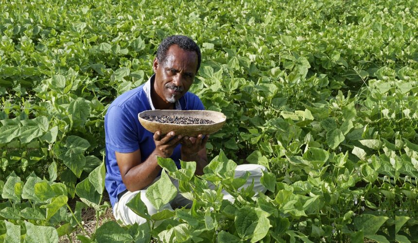 Dr Henry Joseph, Dr en pharmacognosie, directeur de Phytobokaz. Photo : Henry Joseph